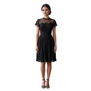 Zara Black Lace Illusion Pleated Midi Dress Size S